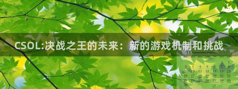 蓝冠娱乐官方平台：CSOL:决战之王的未来：新的游戏机制和挑