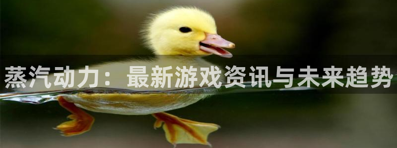 蓝冠娱乐娱乐是真的吗：蒸汽动力：最新游戏资讯与未来趋势