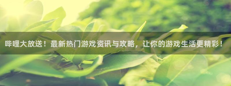 蓝冠娱乐游戏：哔哩大放送！最新热门游戏资讯与攻略，让你的游戏