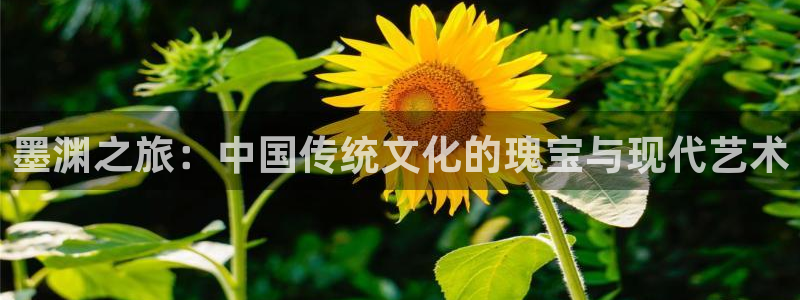 蓝冠娱乐网页版地址：墨渊之旅：中国传统文化的瑰宝与现代艺术