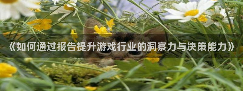 蓝冠娱乐是什么：《如何通过报告提升游戏行业的洞察力与决策能力