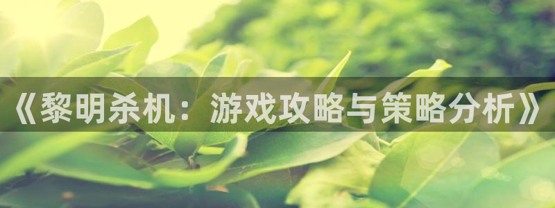 蓝冠娱乐注册服务条款：《黎明杀机：游戏攻略与策略分析》
