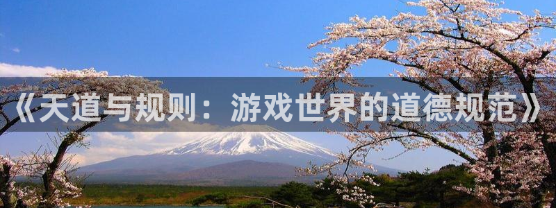 蓝冠娱乐app：《天道与规则：游戏世界的道德规范》