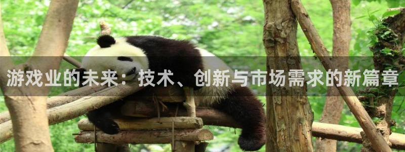 蓝冠娱乐平台官网客服电话：游戏业的未来：技术、创新与市场需求