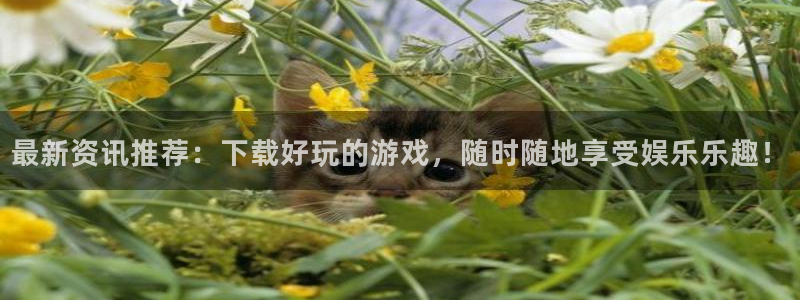 蓝冠娱乐下载：最新资讯推荐：下载好玩的游戏，随时随地享受娱乐