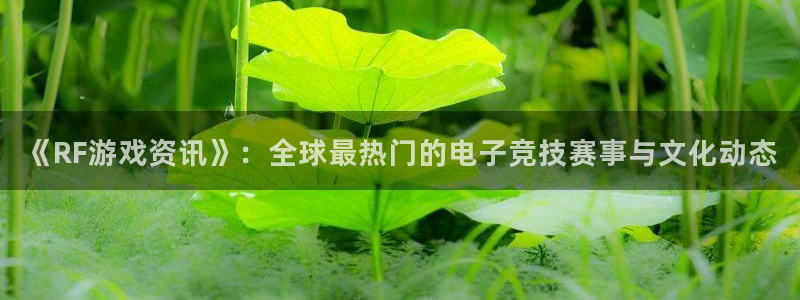 蓝冠娱乐升级5994月：《RF游戏资讯》：全球最热门的电子竞